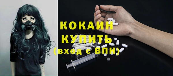 дживик Аркадак