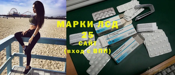 дживик Аркадак